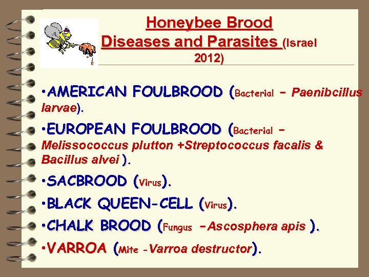 Honeybee Brood Diseases and Parasites (Israel 2012) • AMERICAN FOULBROOD (Bacterial - Paenibcillus larvae).