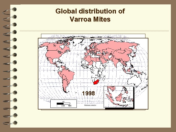 Global distribution of Varroa Mites 1998 1904 