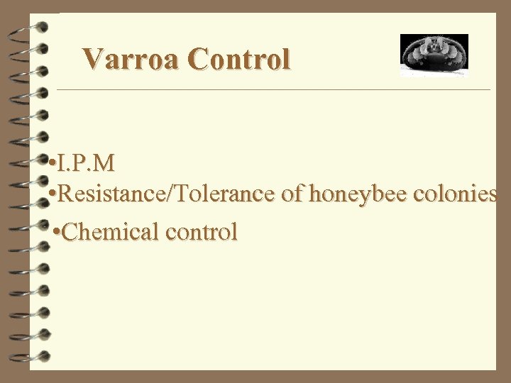 Varroa Control • I. P. M • Resistance/Tolerance of honeybee colonies • Chemical control