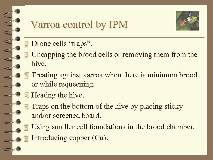 Varroa control by IPM 4 Drone cells “traps”. 4 Uncapping the brood cells or