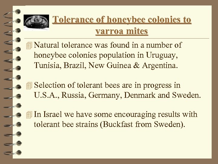 Tolerance of honeybee colonies to varroa mites 4 Natural tolerance was found in a