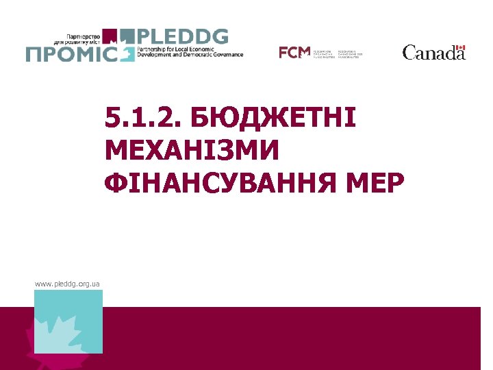 5. 1. 2. БЮДЖЕТНІ МЕХАНІЗМИ ФІНАНСУВАННЯ МЕР www. pleddg. org. ua 