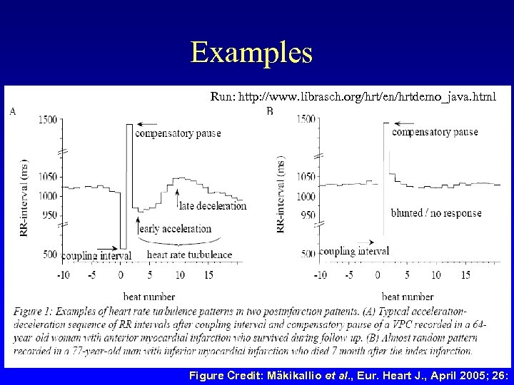 Examples Run: http: //www. librasch. org/hrt/en/hrtdemo_java. html Figure Credit: Mäkikallio et al. , Eur.