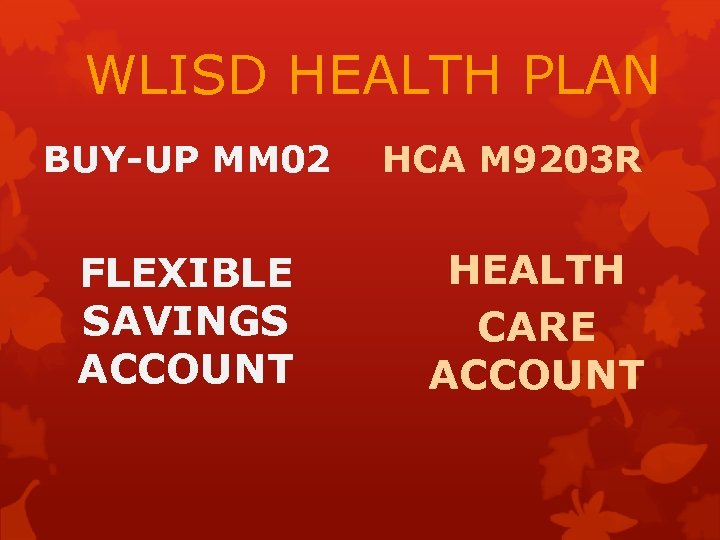 WLISD HEALTH PLAN BUY-UP MM 02 FLEXIBLE SAVINGS ACCOUNT HCA M 9203 R HEALTH