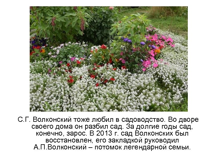 С. Г. Волконский тоже любил в садоводство. Во дворе своего дома он разбил сад.