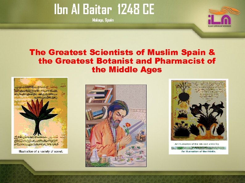 lbn Al Baitar 1248 CE Malaqa, Spain The Greatest Scientists of Muslim Spain &