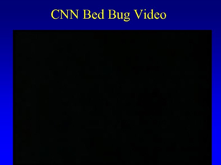 CNN Bed Bug Video 