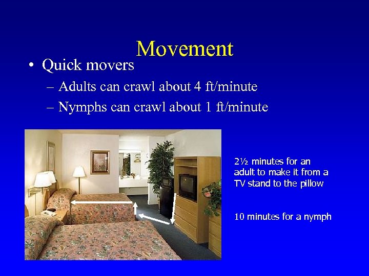  • Quick movers Movement – Adults can crawl about 4 ft/minute – Nymphs