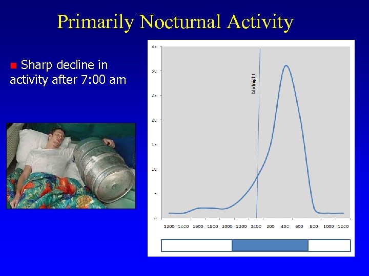 Primarily Nocturnal Activity Sharp decline in activity after 7: 00 am n 
