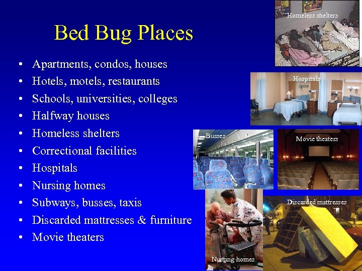Homeless shelters Bed Bug Places • • • Apartments, condos, houses Hotels, motels, restaurants