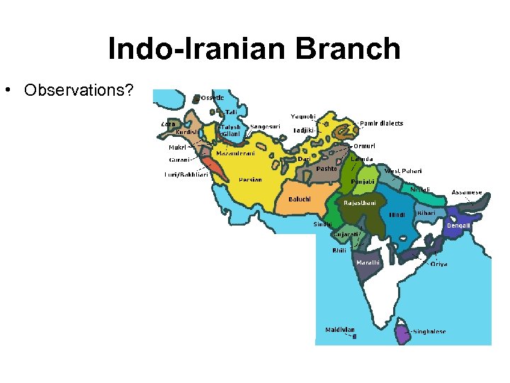 Indo-Iranian Branch • Observations? 