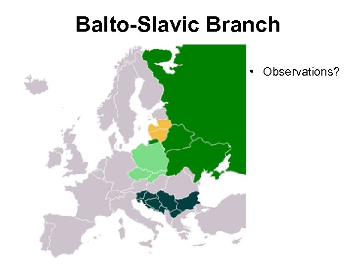 Balto-Slavic Branch • Observations? 