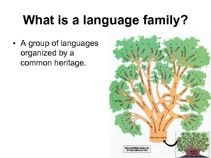 What is a language family? • A group of languages organized by a common