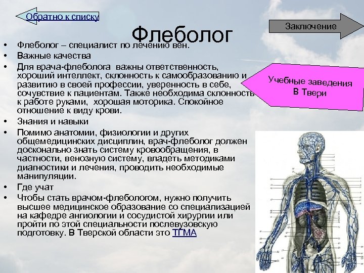 Обратно к списку • • Флеболог – специалист по лечению вен. Важные качества Для