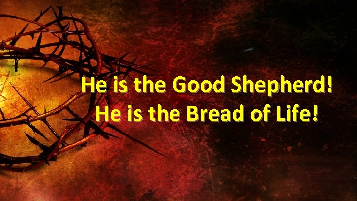 He is the Good Shepherd! He is the Bread of Life! 