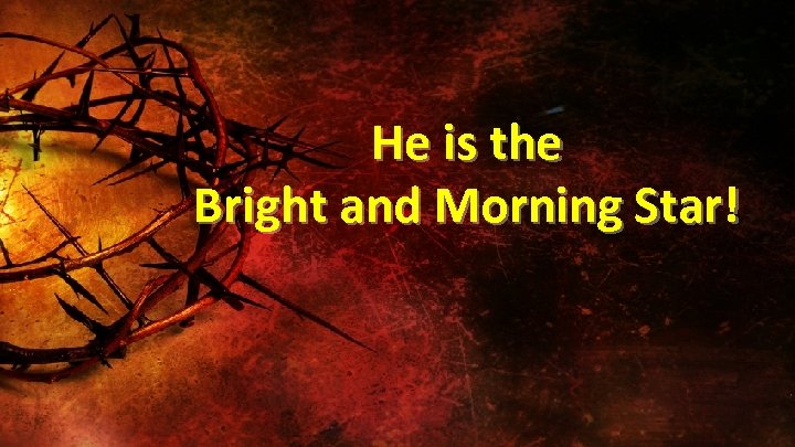 He is the Bright and Morning Star! 