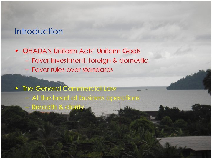 Introduction • OHADA’s Uniform Acts’ Uniform Goals – Favor investment, foreign & domestic –