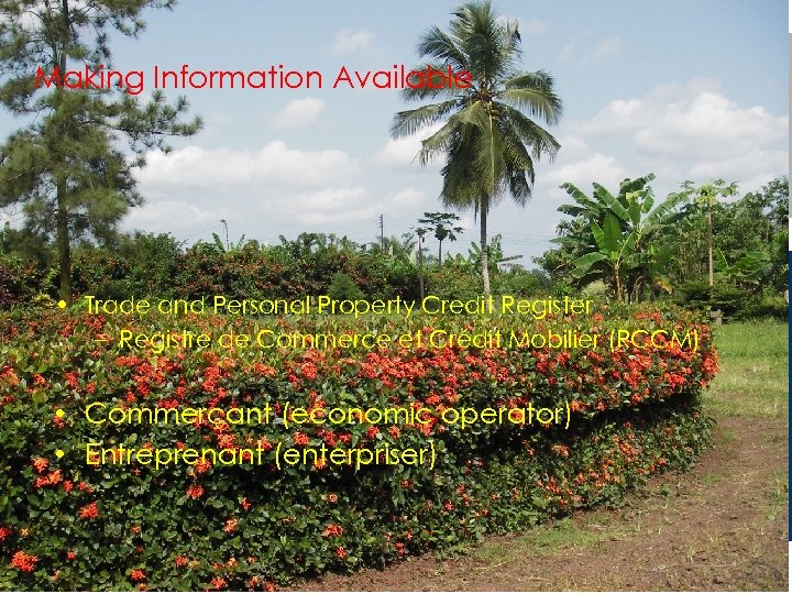 Making Information Available • Trade and Personal Property Credit Register – Registre de Commerce