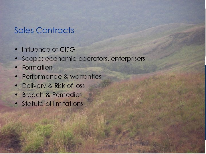 Sales Contracts • • Influence of CISG Scope: economic operators, enterprisers Formation Performance &