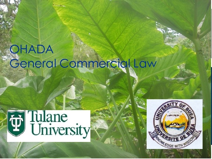 OHADA General Commercial Law 