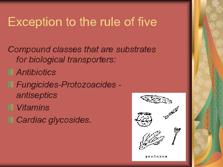 Exception to the rule of five Compound classes that are substrates for biological transporters: