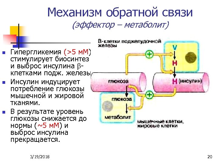 Схема механизма обратной связи