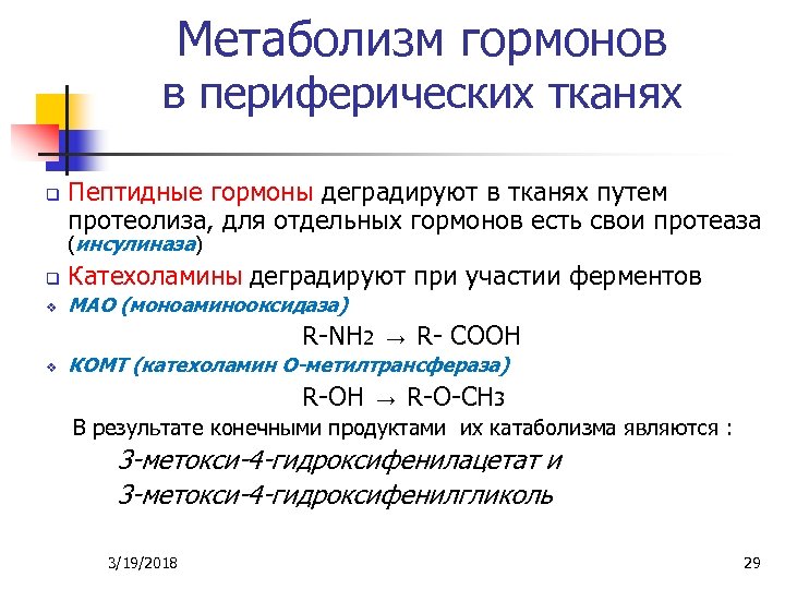 Метаболизм гормонов в периферических тканях q Пептидные гормоны деградируют в тканях путем протеолиза, для