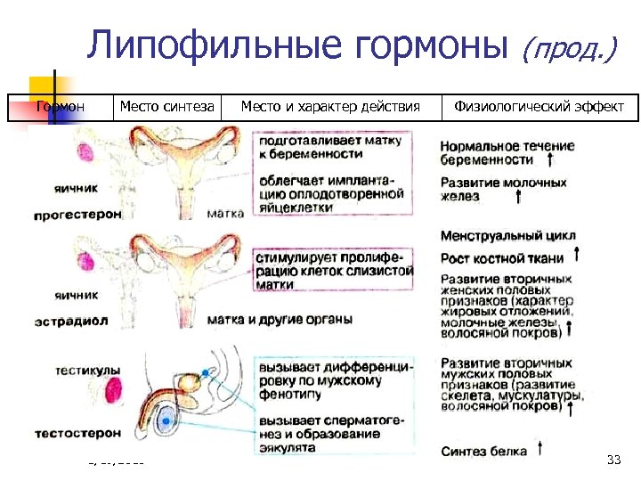 Липофильные гормоны Гормон Место синтеза 3/19/2018 Место и характер действия (прод. ) Физиологический эффект