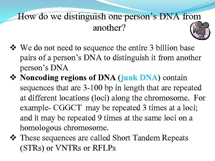 How do we distinguish one person’s DNA from another? v We do not need