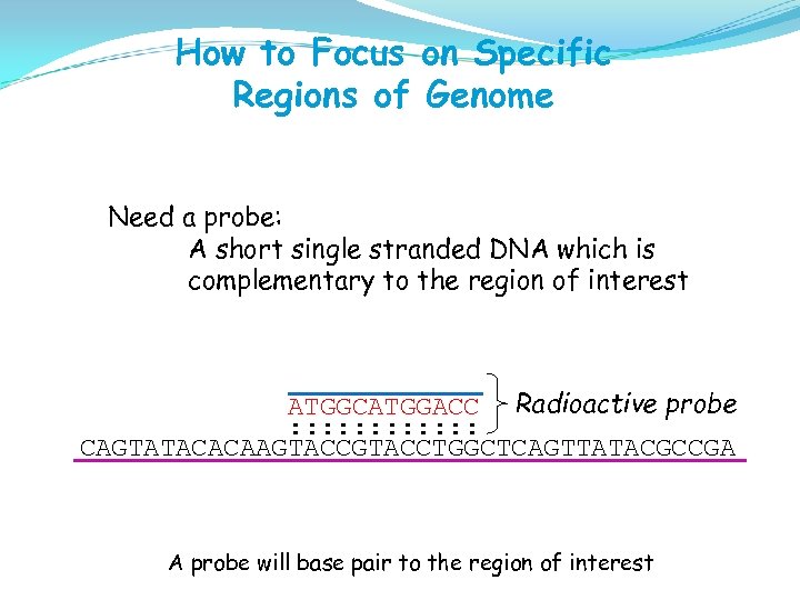 How to Focus on Specific Regions of Genome Need a probe: A short single