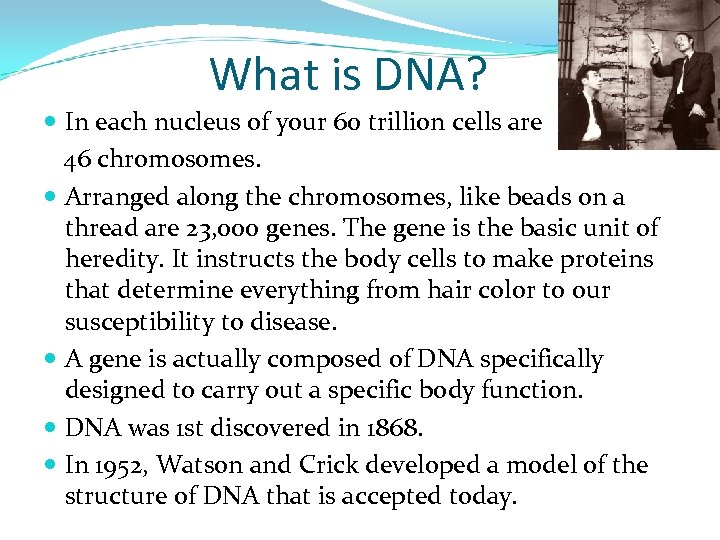 What is DNA? In each nucleus of your 60 trillion cells are 46 chromosomes.