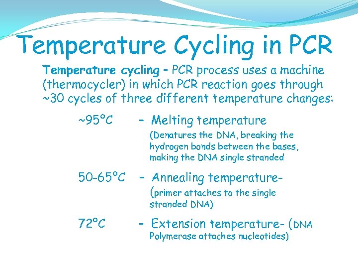 Temperature Cycling in PCR Temperature cycling – PCR process uses a machine (thermocycler) in