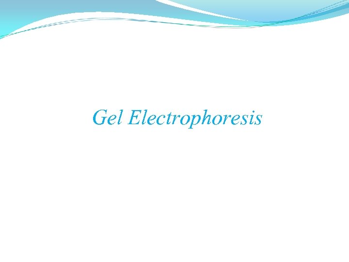 Gel Electrophoresis 