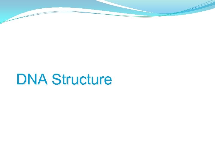 DNA Structure 