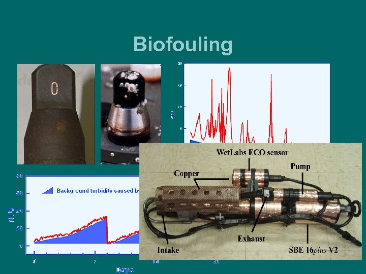 Biofouling www. d-a-instruments. com/images/ 