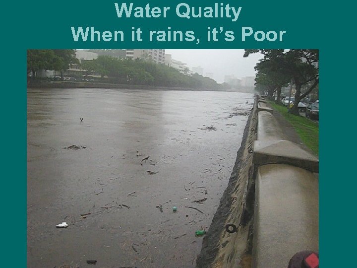 Water Quality When it rains, it’s Poor 