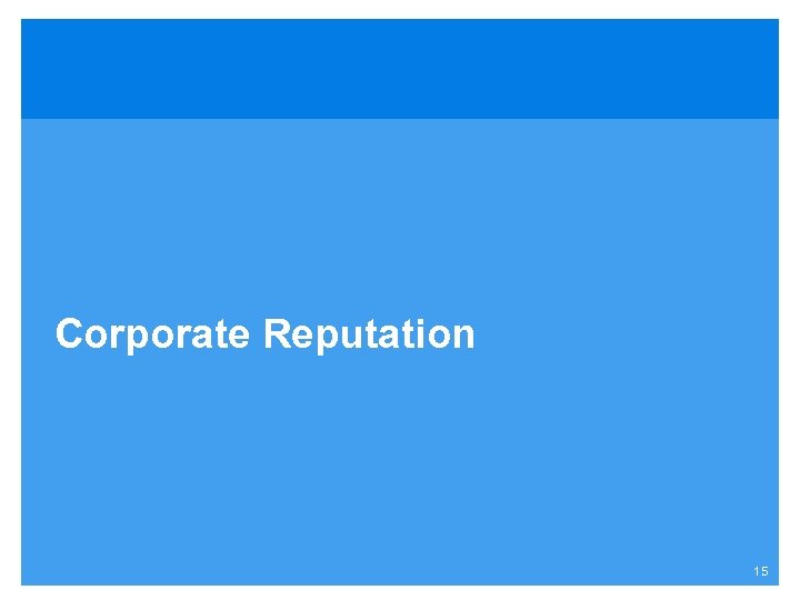 Corporate Reputation 15 