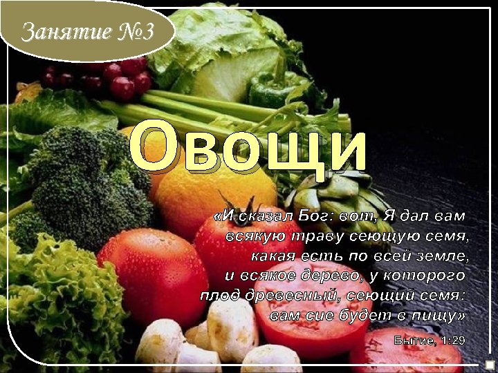 Занятие № 3 Овощи «И сказал Бог: вот, Я дал вам всякую траву сеющую