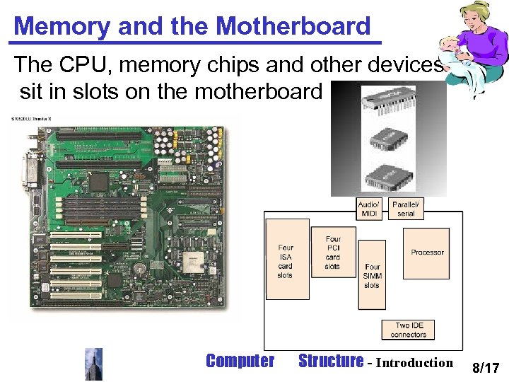 Memory and the Motherboard The CPU, memory chips and other devices sit in slots