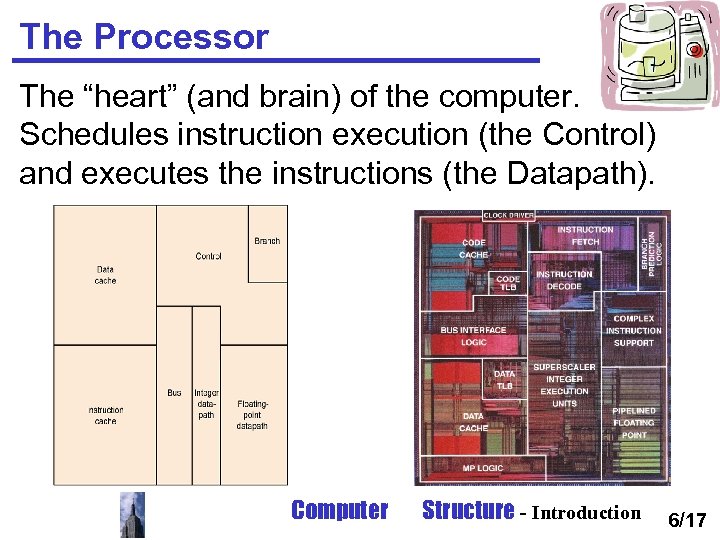The Processor The “heart” (and brain) of the computer. Schedules instruction execution (the Control)