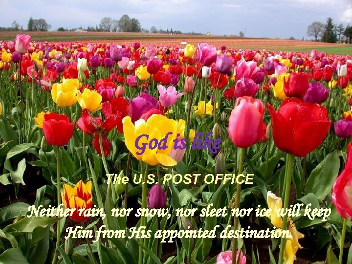 God is like The U. S. POST OFFICE Neither rain, nor snow, nor sleet