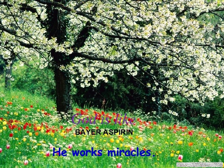 God is like BAYER ASPIRIN He works miracles. 
