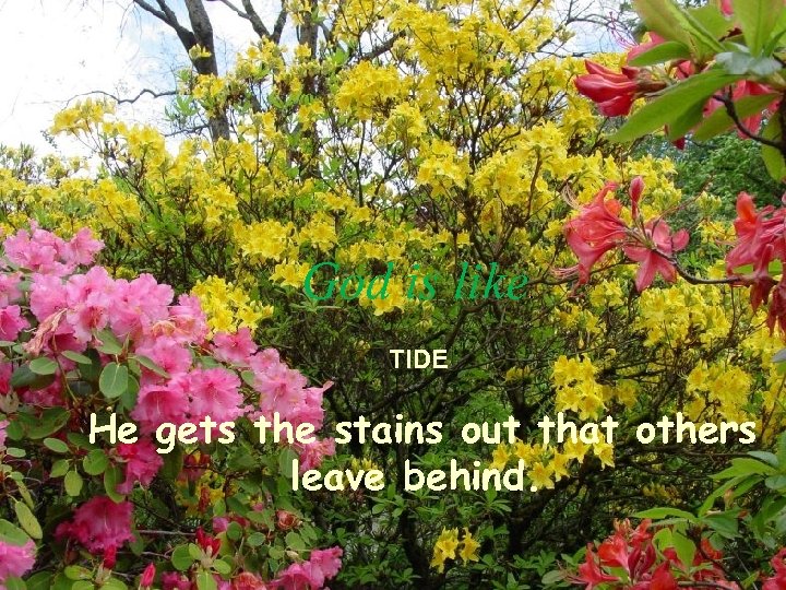 God is like. TIDE He gets the stains out that others leave behind. 