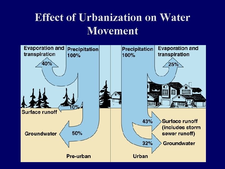 Effect of Urbanization on Water Movement 