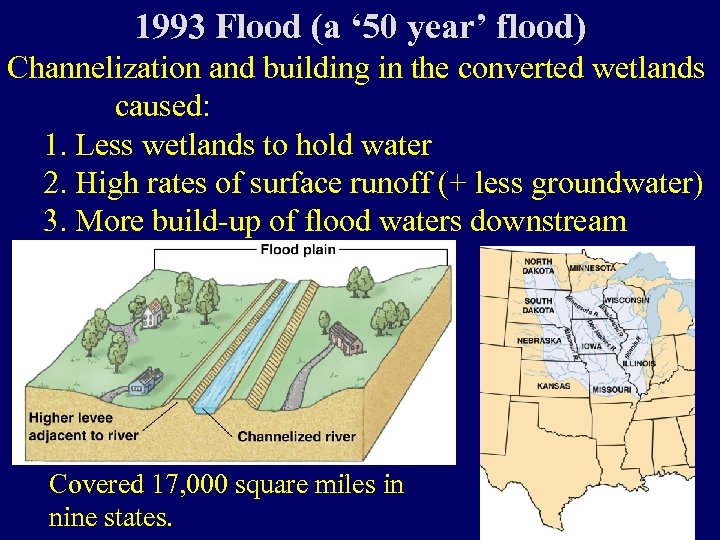 1993 Flood (a ‘ 50 year’ flood) Channelization and building in the converted wetlands