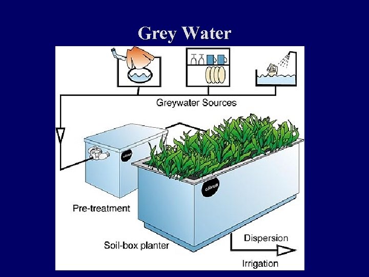 Grey Water 