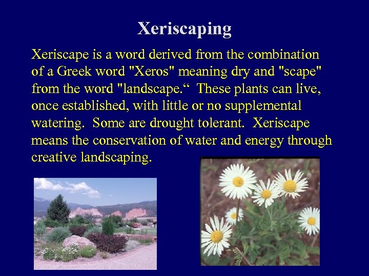 Xeriscaping Xeriscape is a word derived from the combination of a Greek word 