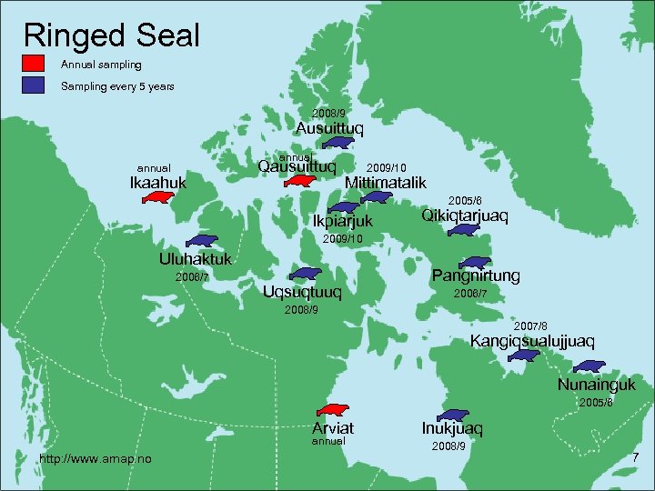 Ringed Seal Annual sampling Sampling every 5 years 2008/9 Ausuittuq annual Ikaahuk Qausuittuq 2009/10