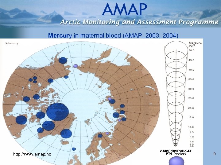 Mercury in maternal blood (AMAP, 2003, 2004) http: //www. amap. no 9 