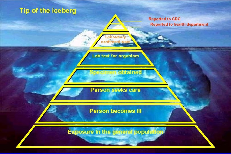 Tip of the iceberg Reported to CDC Reported to health department Laboratory confirmed case